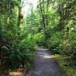 Trails by the Cabins