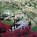 Missouri Botanical Garden