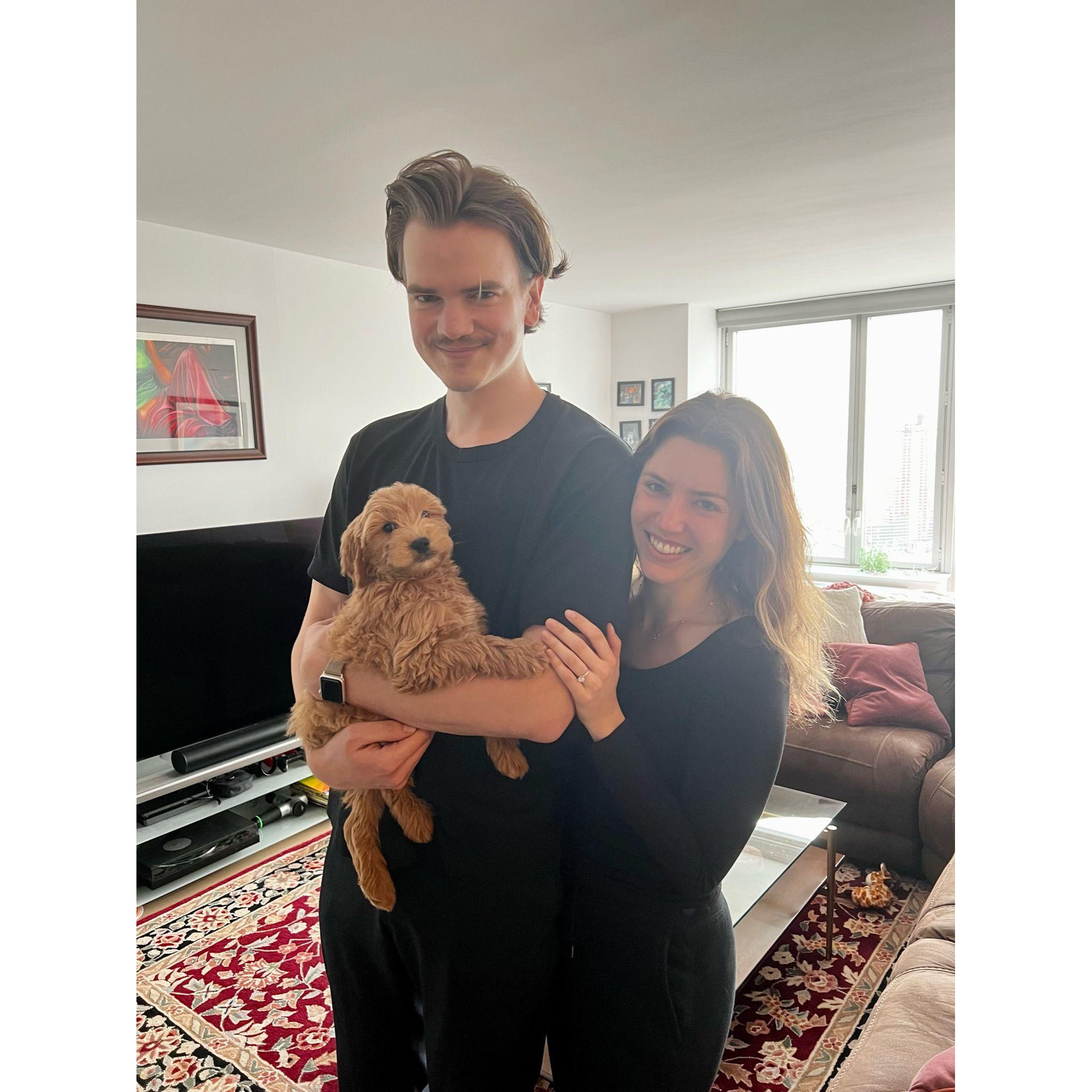 Expanding the family