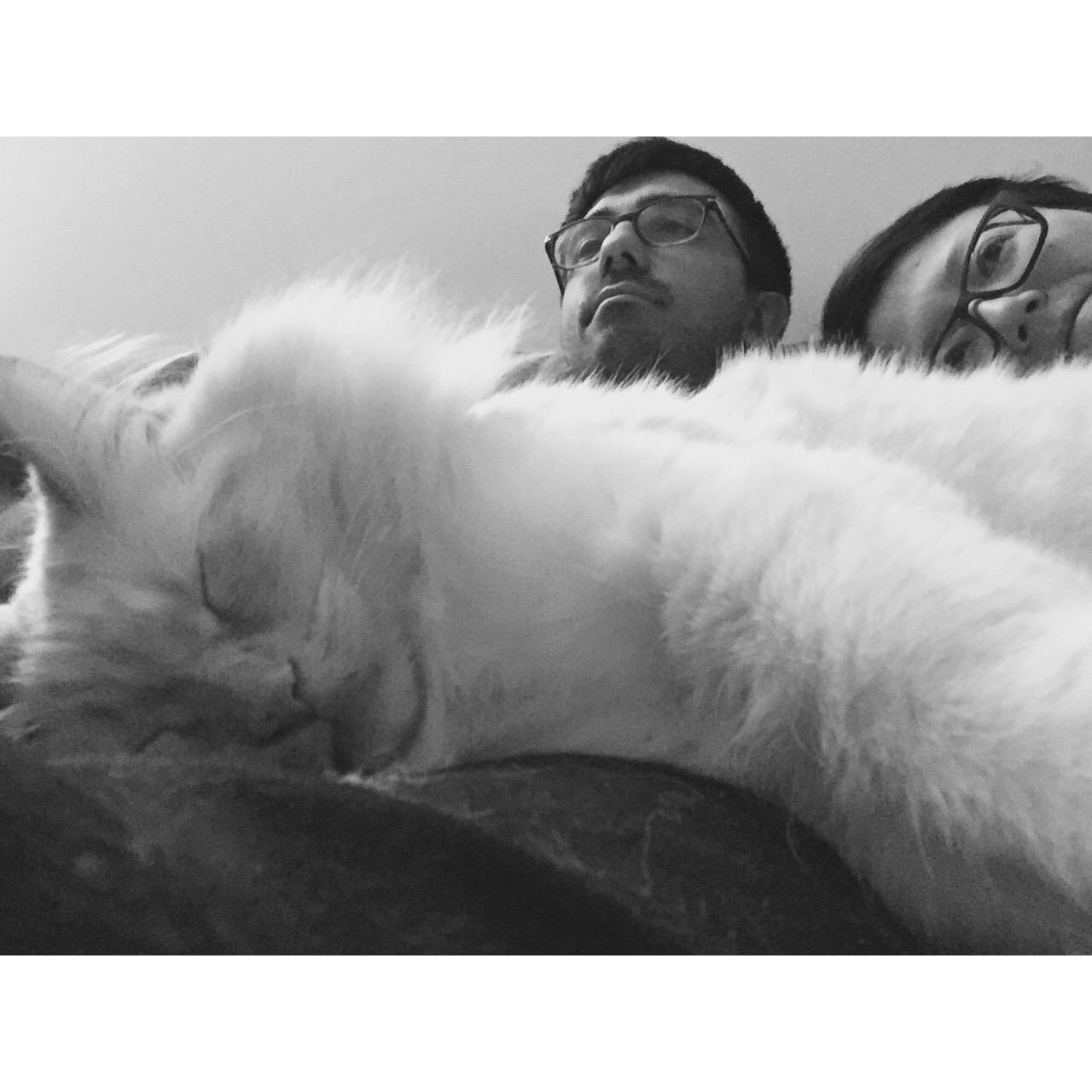 Hachi, the master of the house. A love and hate relationship.