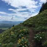 Mount Emily Recreation Area