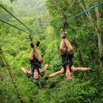 Zip Line through the Jungle