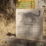 SARISKA WILDLIFE SANCTUARY