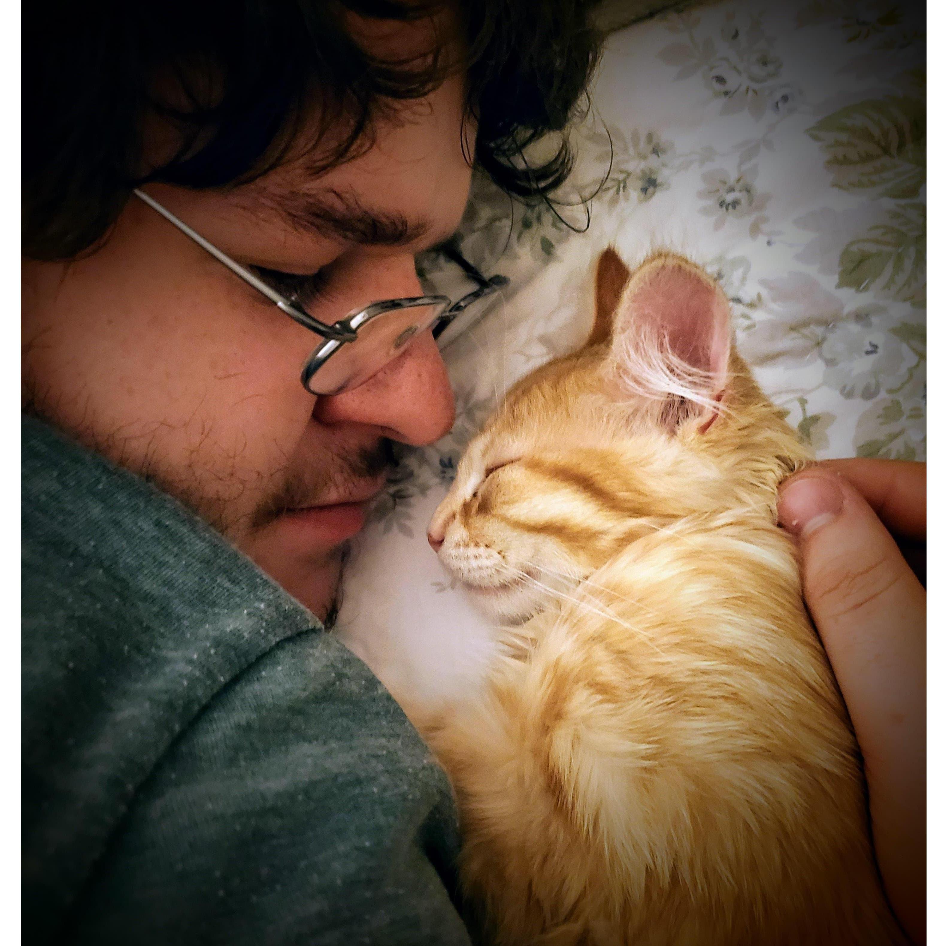 Ok, now that's just hecking adorable...