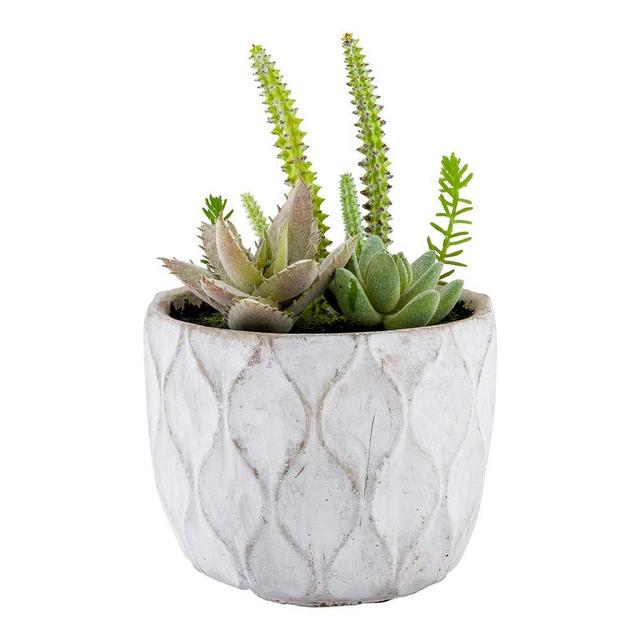 5.9 x 7.9 Inch Faux Succulent Arrangement, 1 Realistic Artificial Succulent - In Concrete Planter, Use As Table Decor, Shelf Decor, Or Centerpiece, Light Gray Plastic Fake Desk Plant, Round
