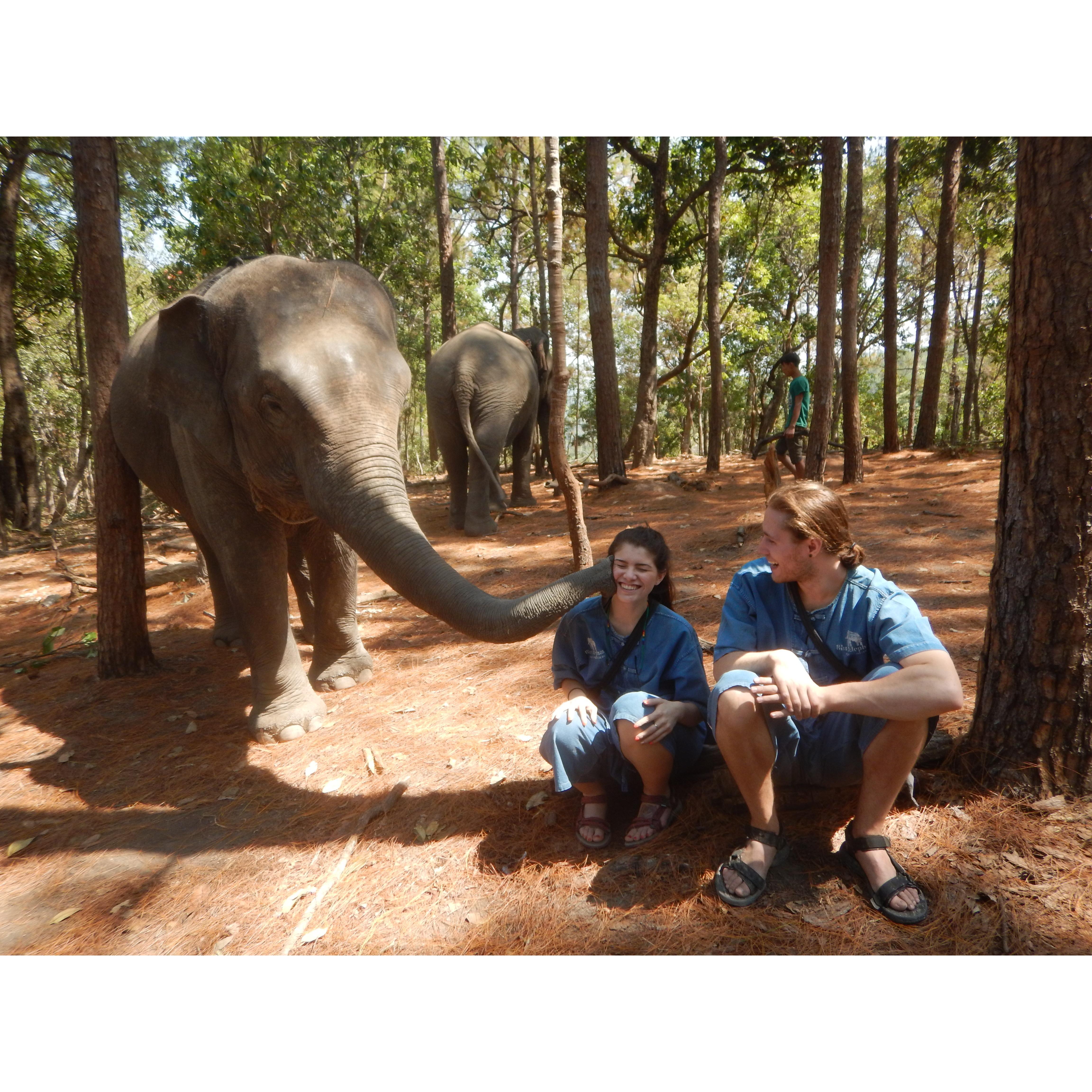 When we were in Thailand and visited elephants. We fed them bananas and bathe them! Thailand was a trip of a lifetime!
