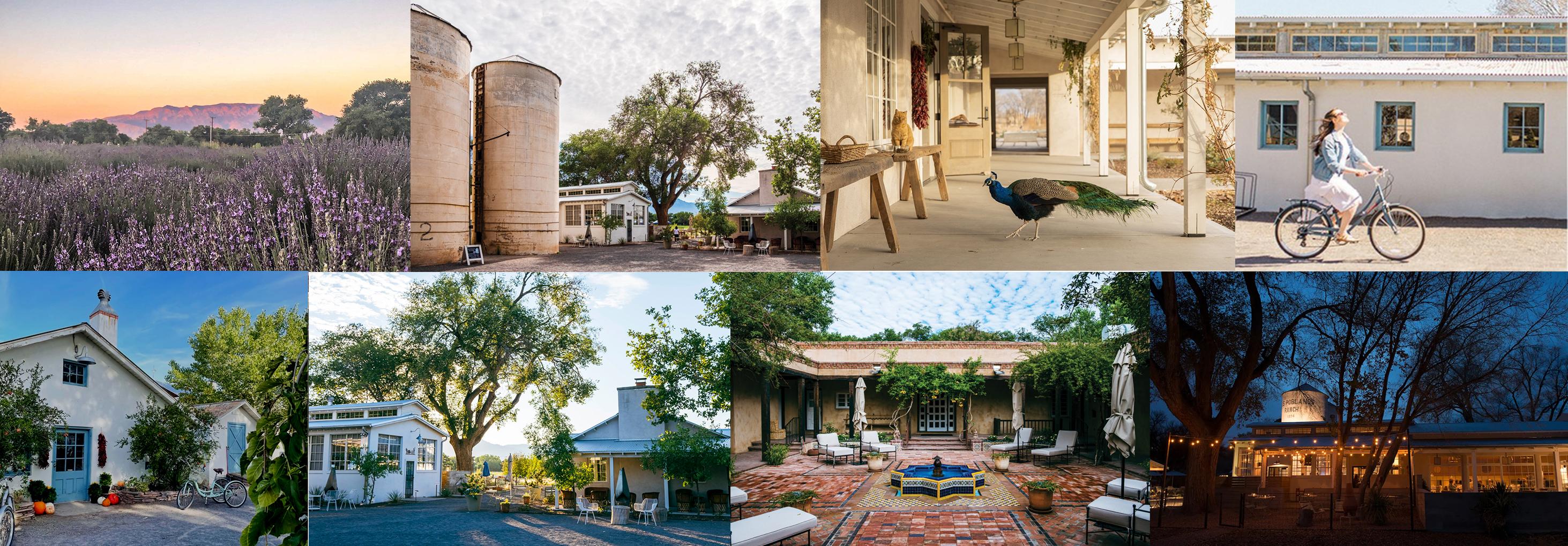 The Wedding Website of Nikki Horowitz and James Drummond