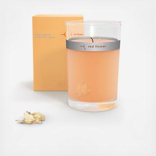 Indian Jasmine Petal Topped Candle