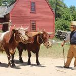 Sturbridge Village