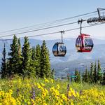 Silver Queen Gondola