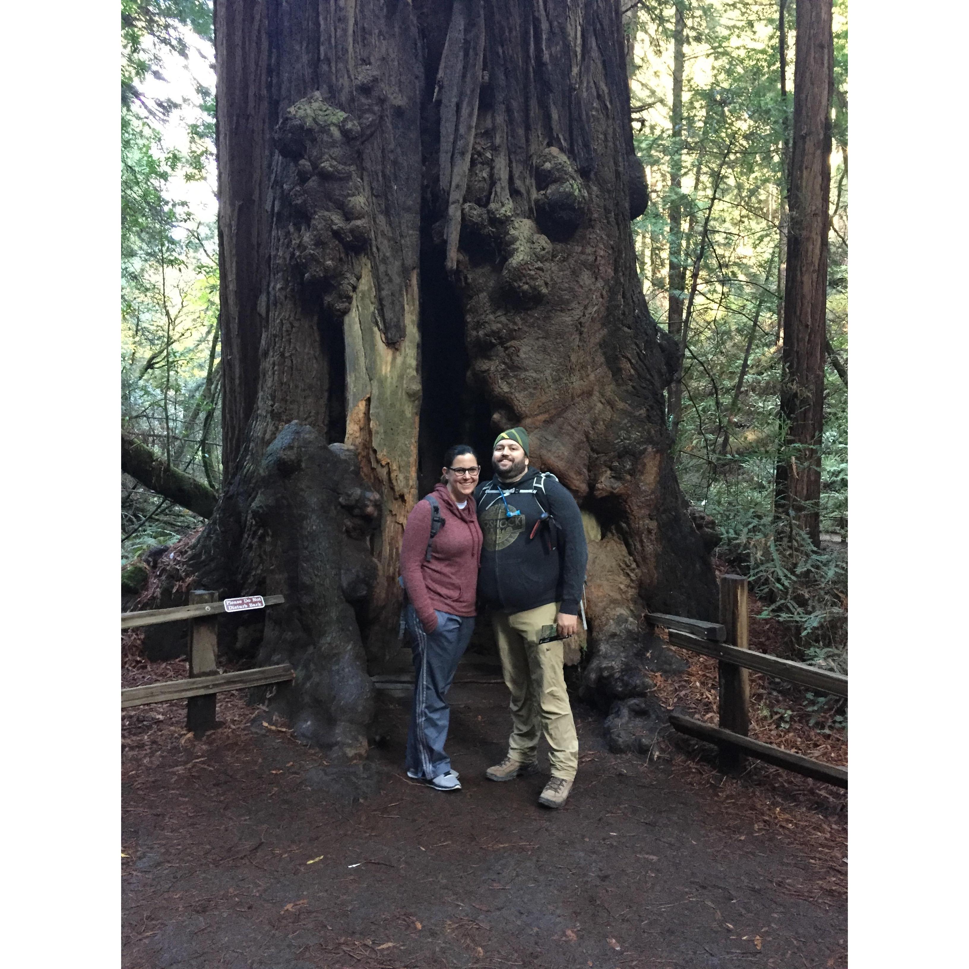 Muir Woods National Park - about an hour before Jonathan proposed...no wonder he was a nervous wreck