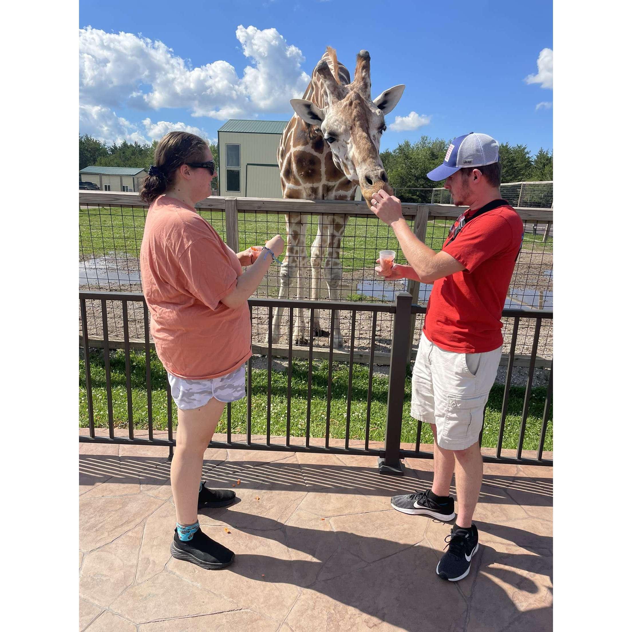 Maddie brought Keaton to a new place up north and got to feed a giraffe