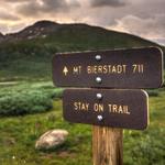 Mount Bierstadt