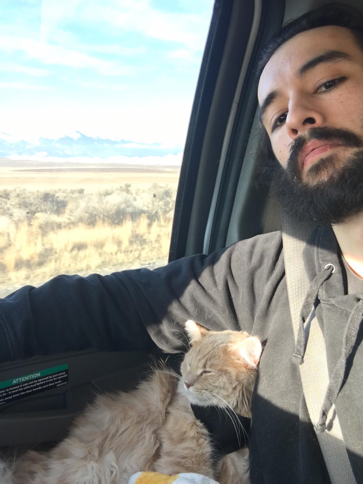 Meep didn't complain on either cross-country drive we took him on! What a chiller!