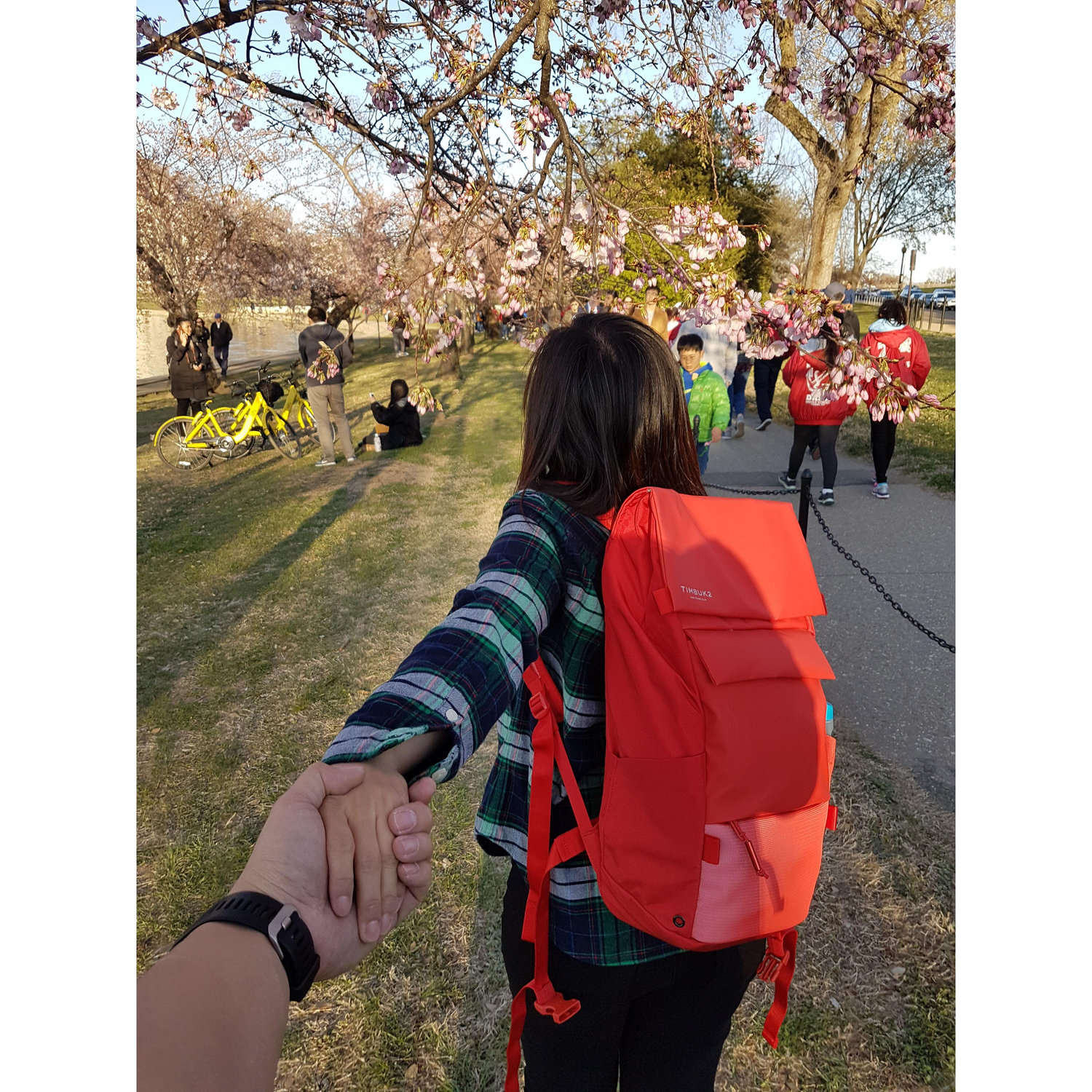 "Where are you taking me, Cho?"