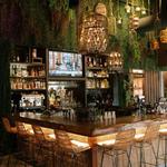 The Cage Cocktail Bar