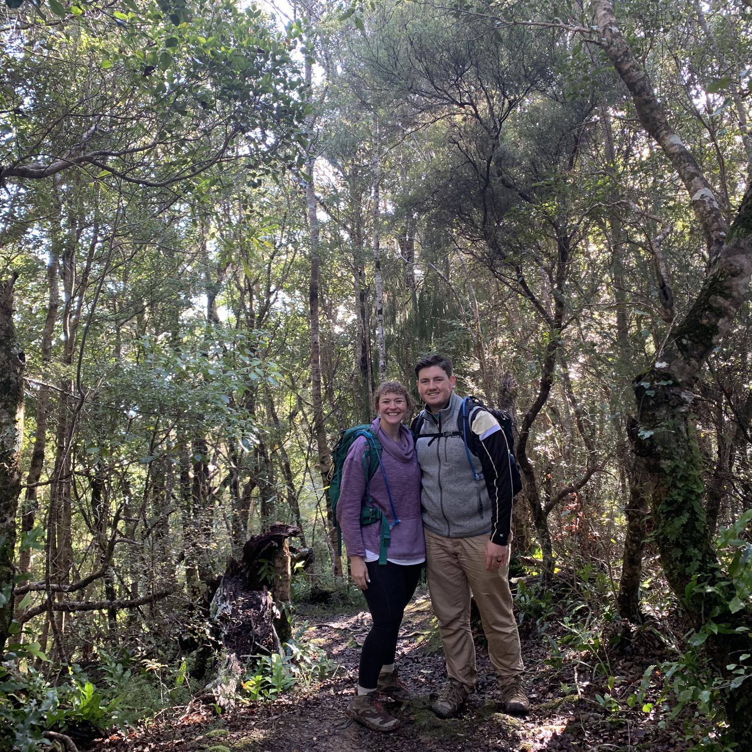 Gorgeous hike from a ferry ride outside of Wellington, NZ (July 2023)