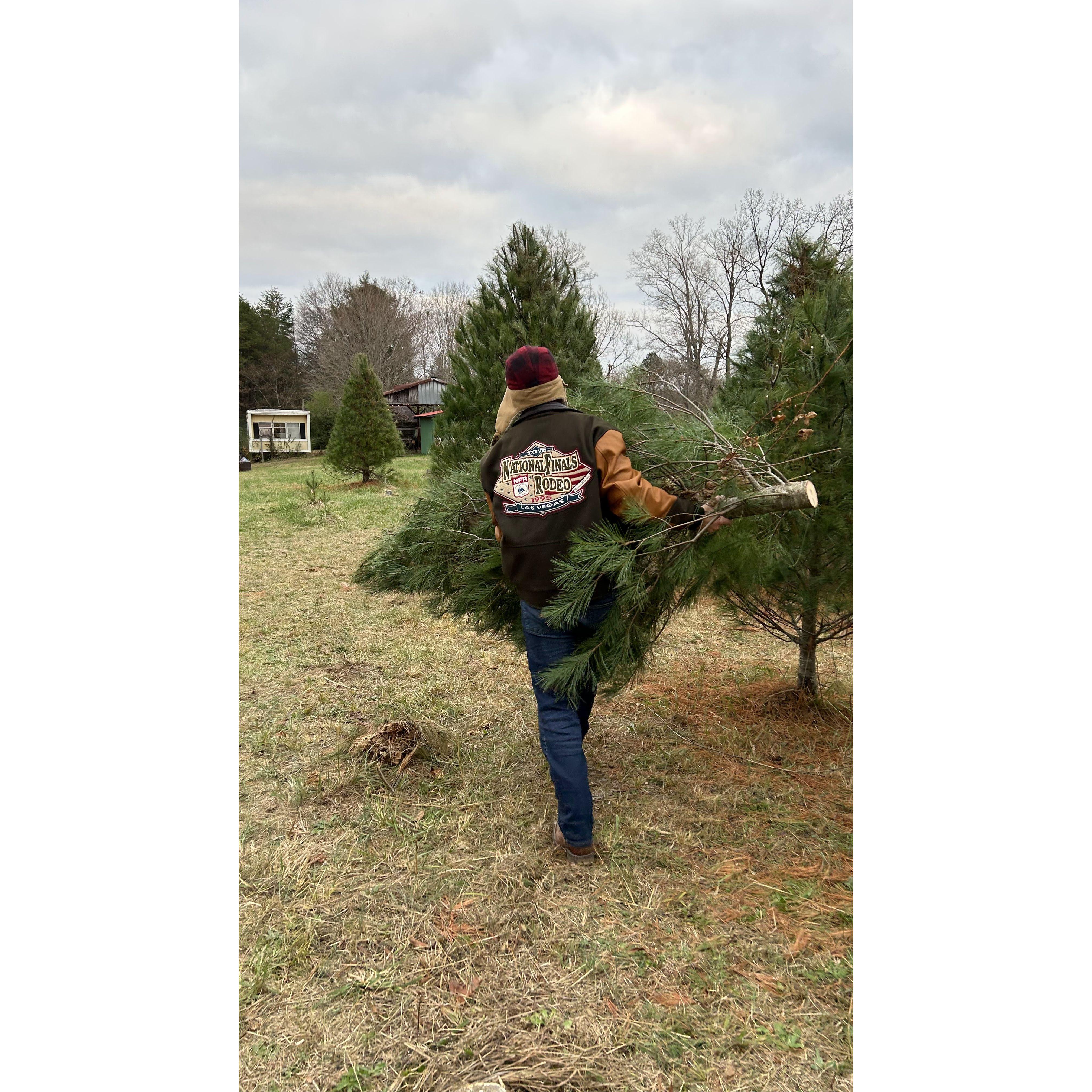 December 2022 - Second year of chopping down our own Christmas tree!