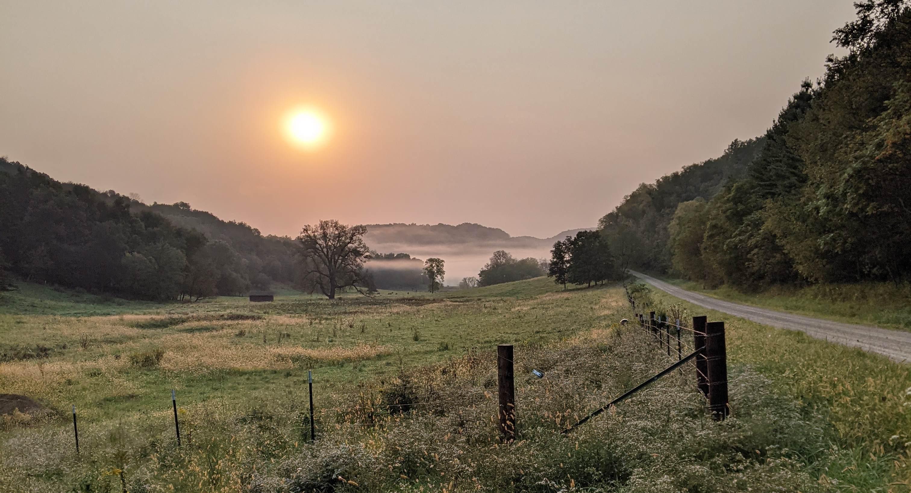 The Wedding Website of Wayde Lawler and Taryn Lawler