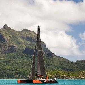 Catamaran Tour