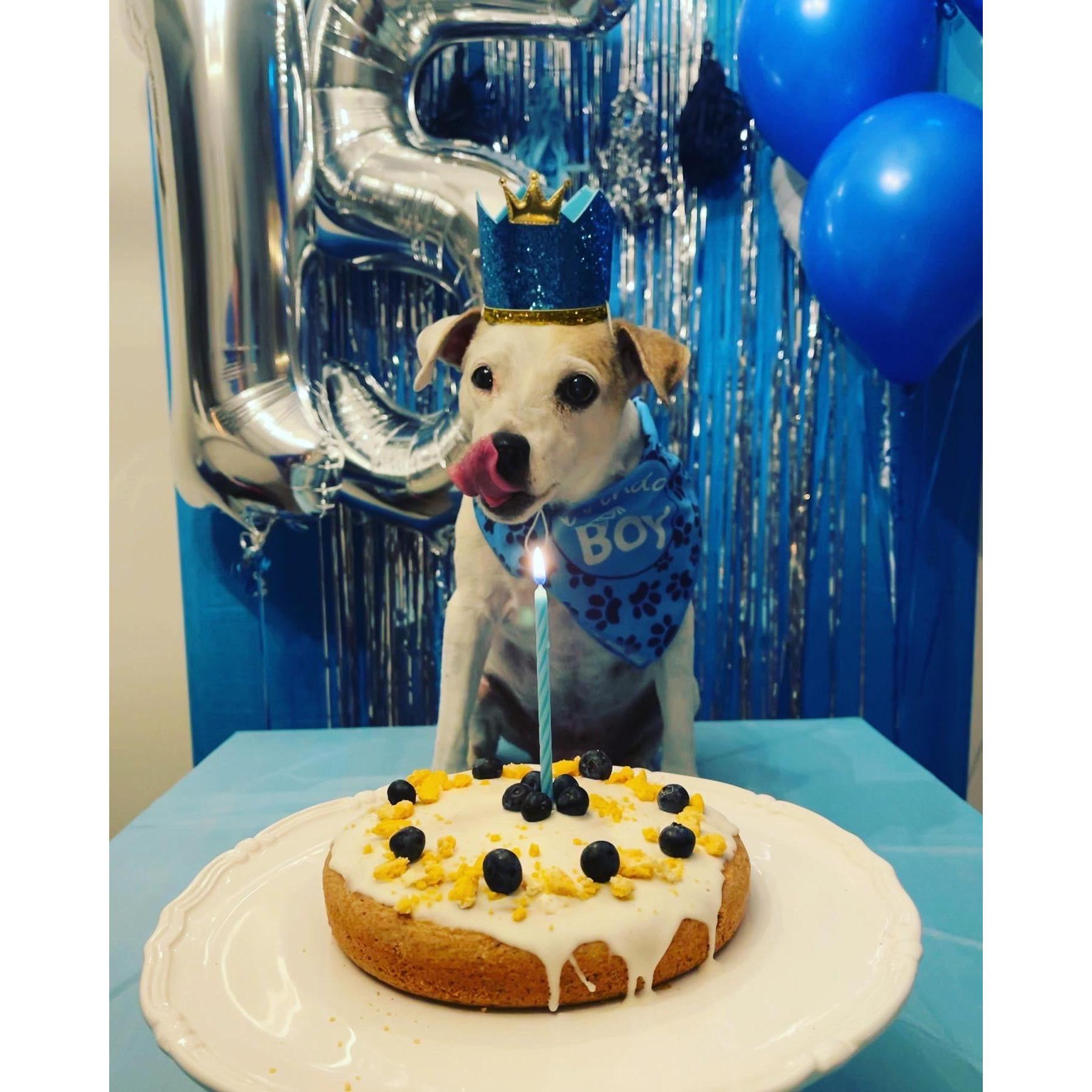 Hoosie's 15th Birthday!
Looking back, we are so happy we made that day as special as it was.