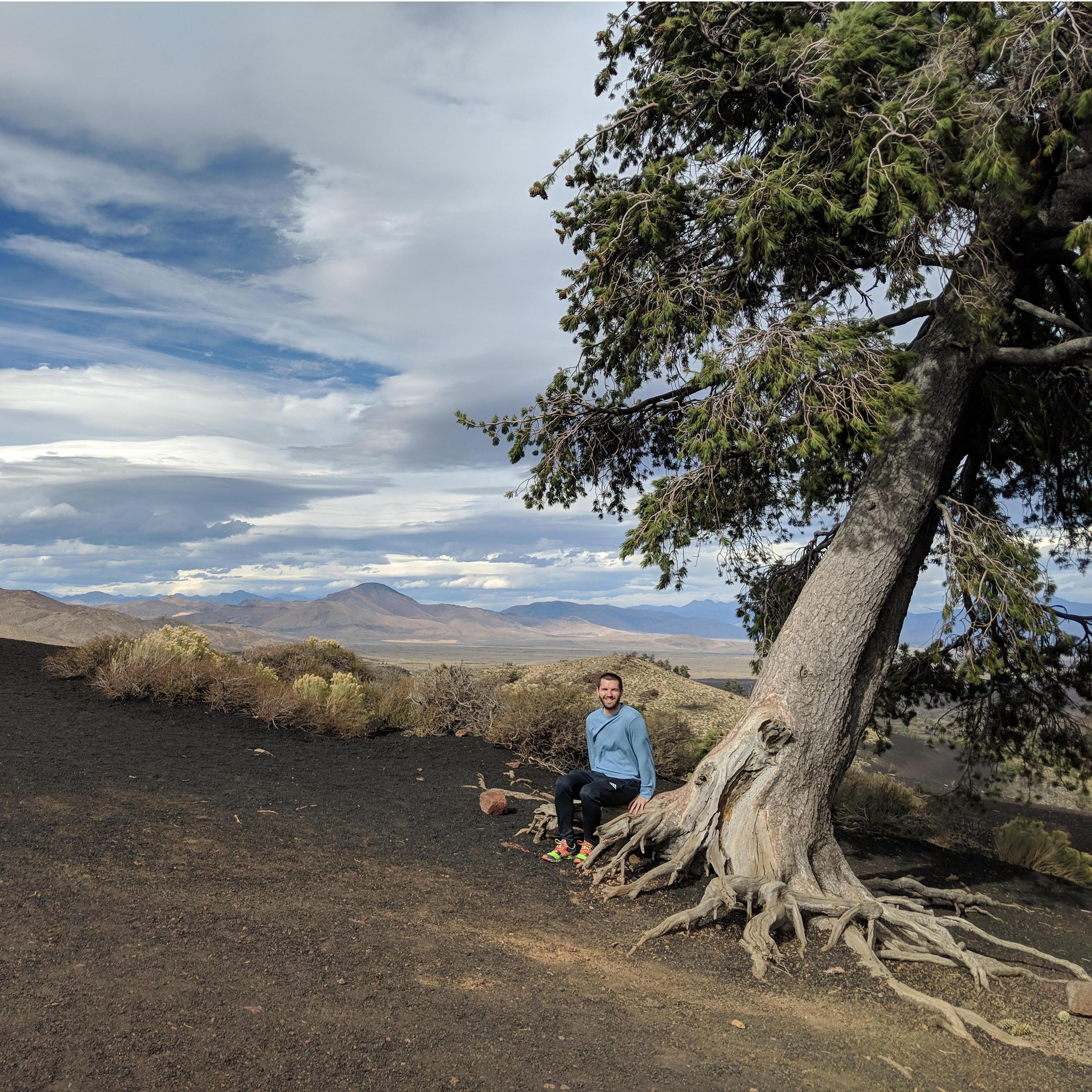 Massive tree near Craters of the Moon, Idaho!
The only tree for 100 miles...j/k