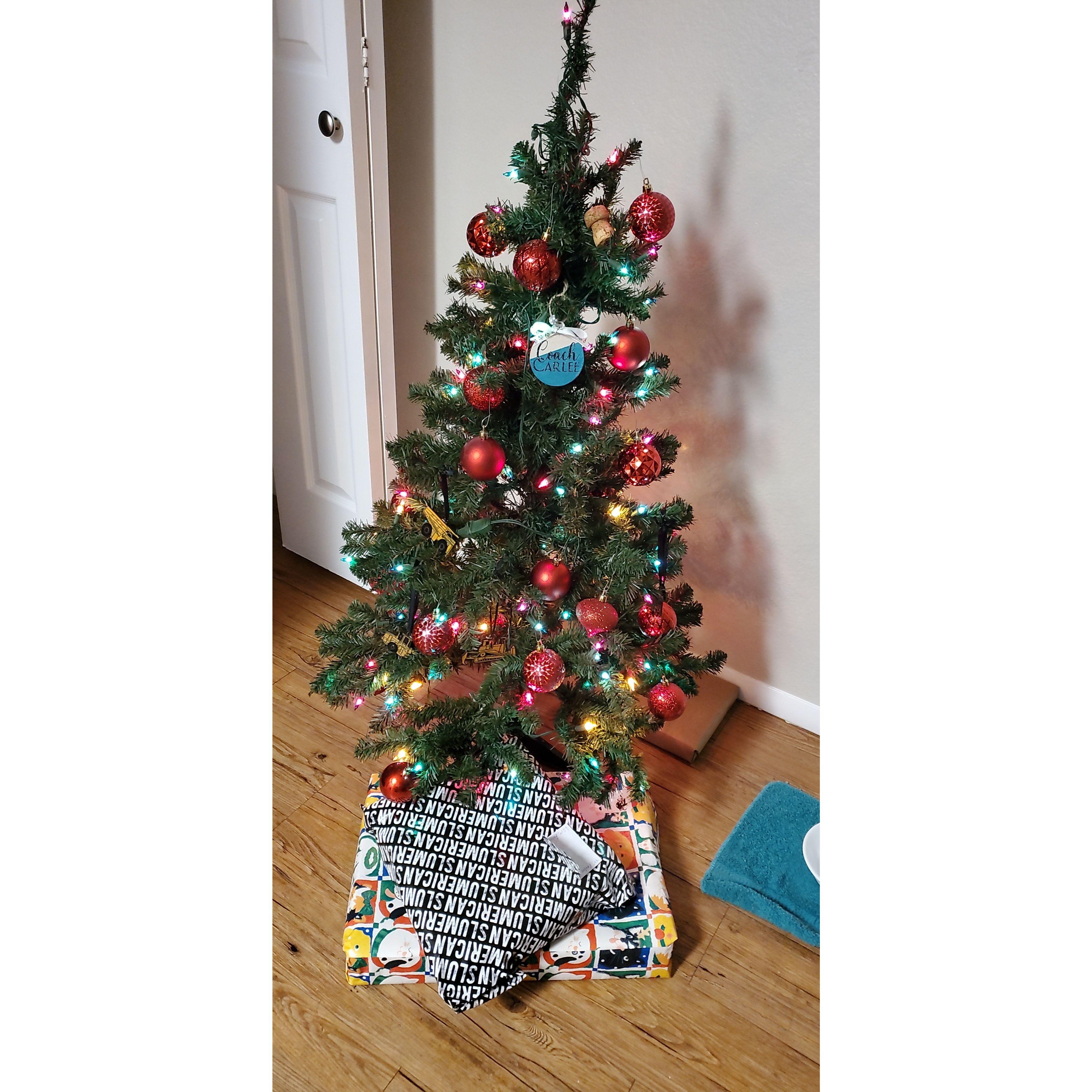 First mini tree for our first Christmas in our new home together.