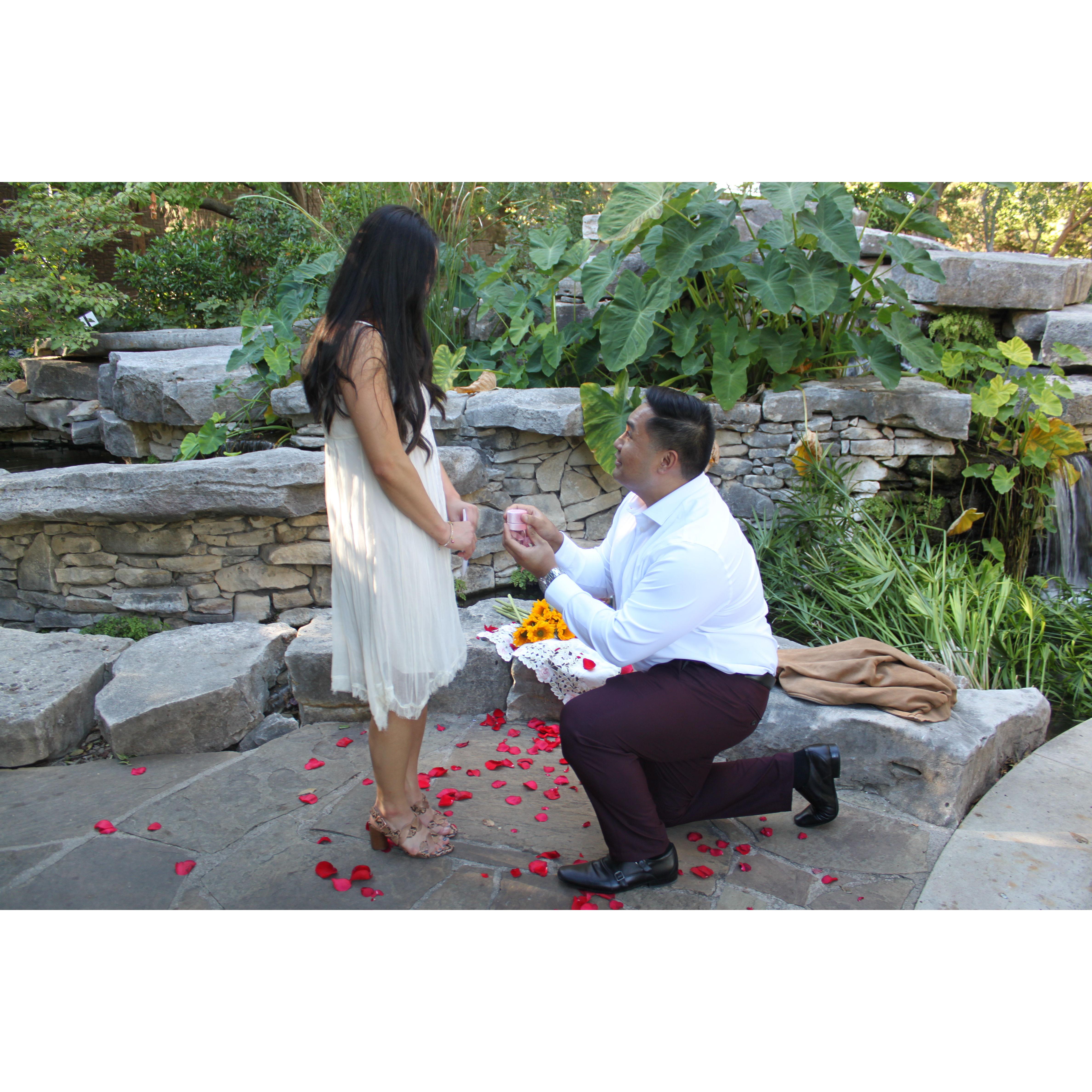 the proposal