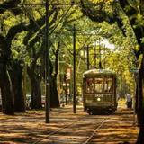 Garden District