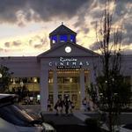 Riverview Cinemas 8 & Playhouse