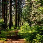 Millersylvania State Park