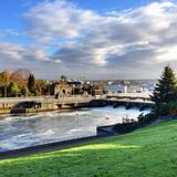 Ballard Locks Fish Ladder