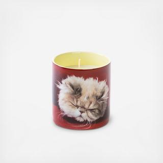 Toiletpaper Cat Candle