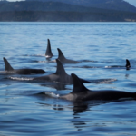 San Juan Islands