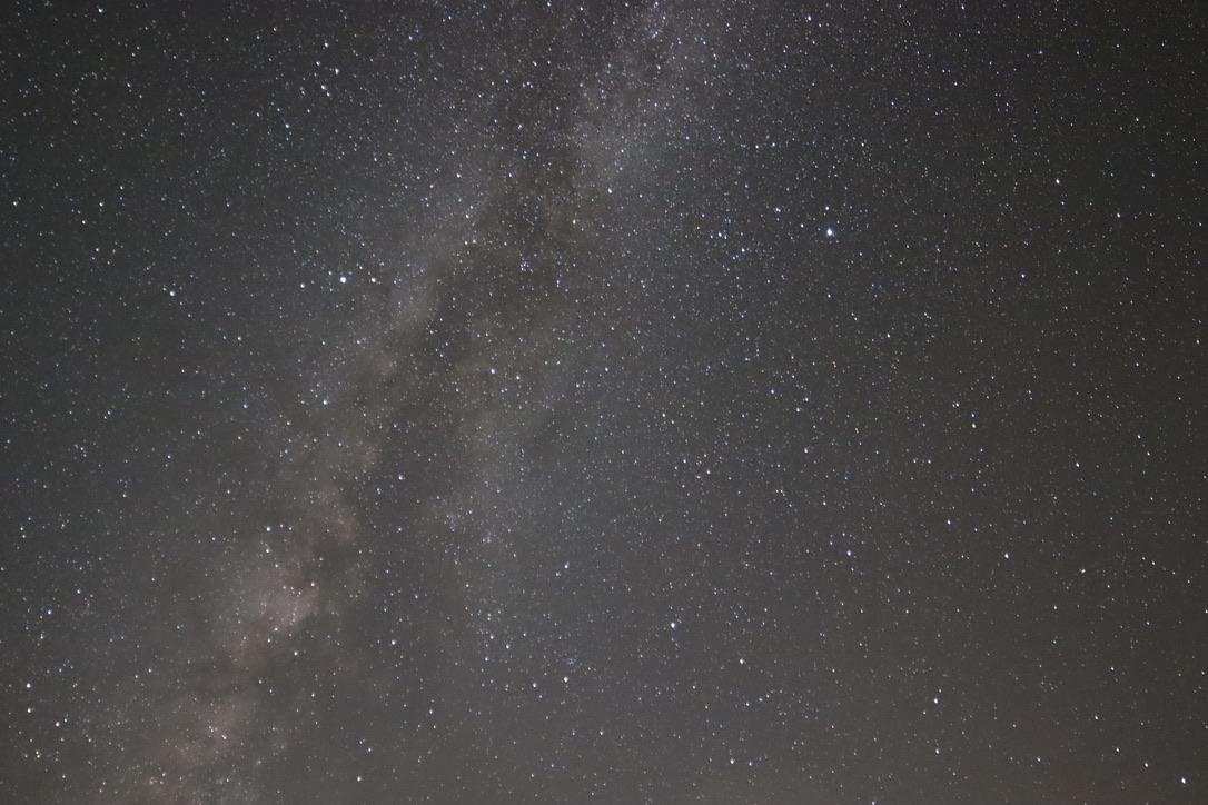 The Wedding Website of Thomas Meehan and Elizabeth Wagner