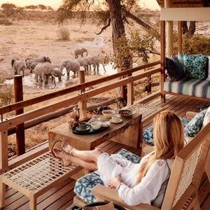African Safari Honeymoon