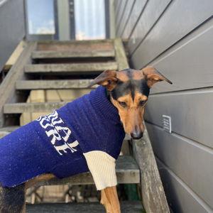 Poppy's Sweater Fund
