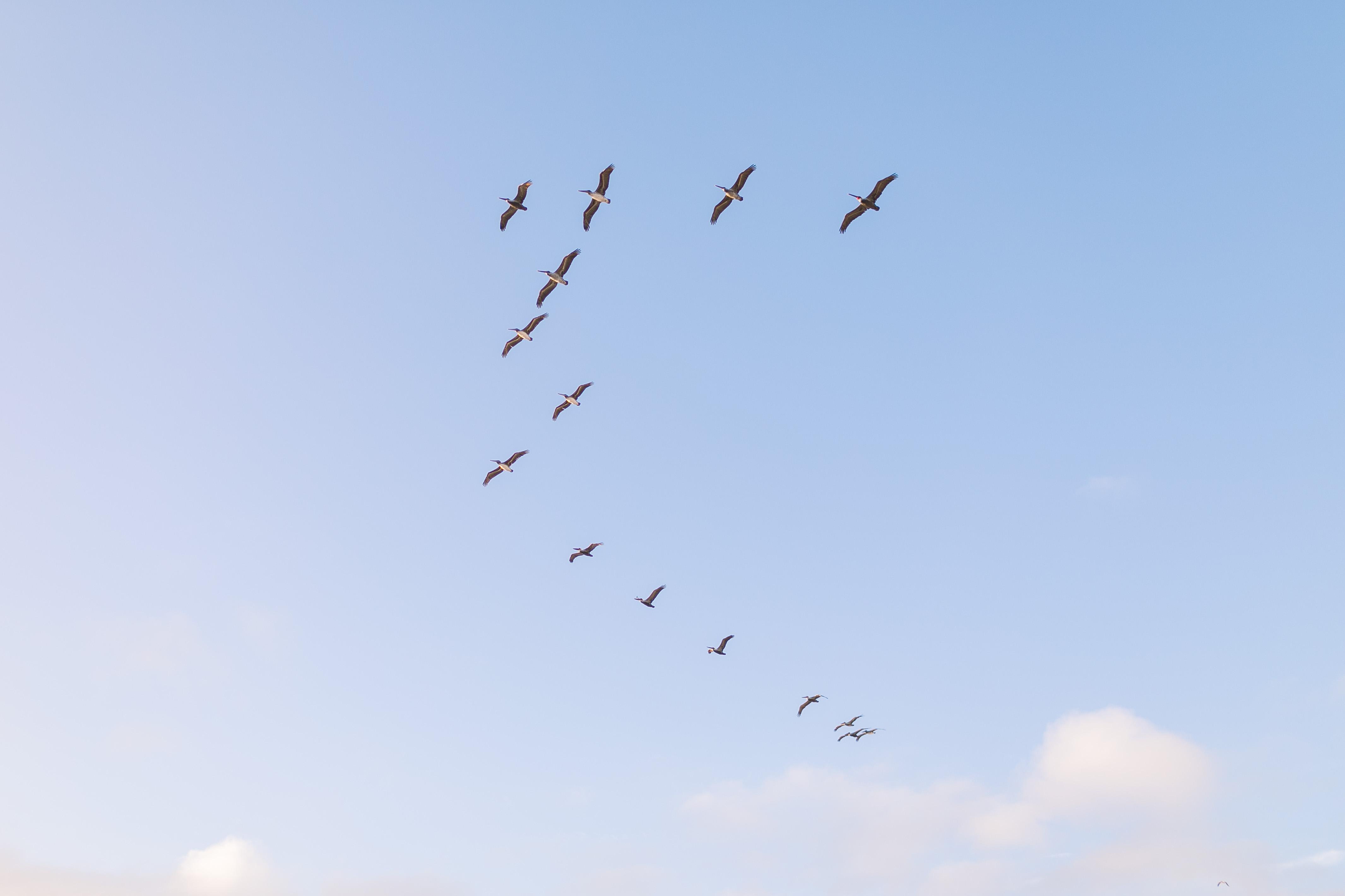 The Wedding Website of Jillian Littleton and Trevor Cochran