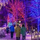 Lincoln Park Zoo Lights