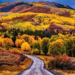 The Grand Mesa