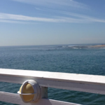 Malibu Farm Pier Cafe