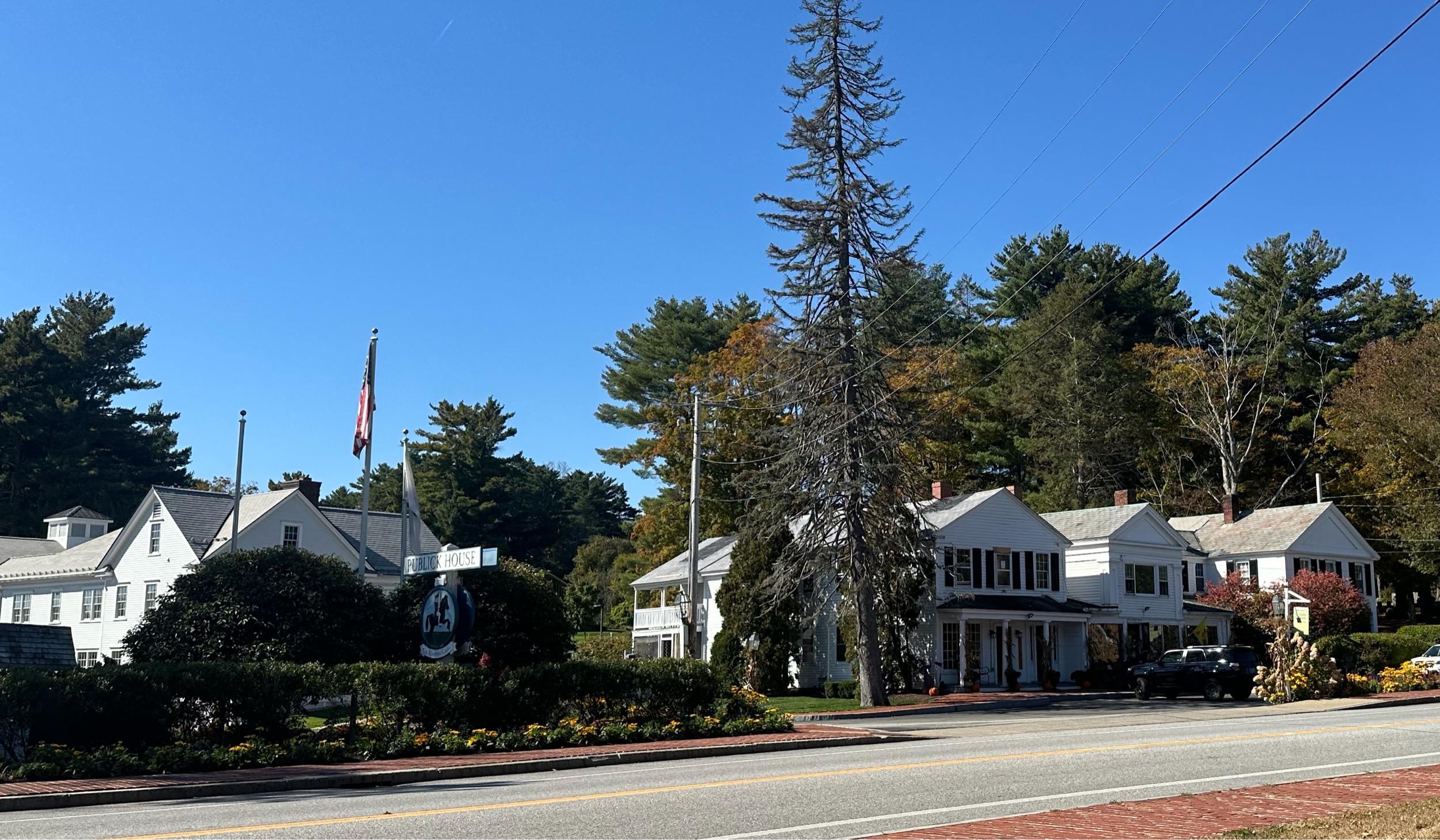 The Wedding Website of Elizabeth Lizotte and Patrick Kearney