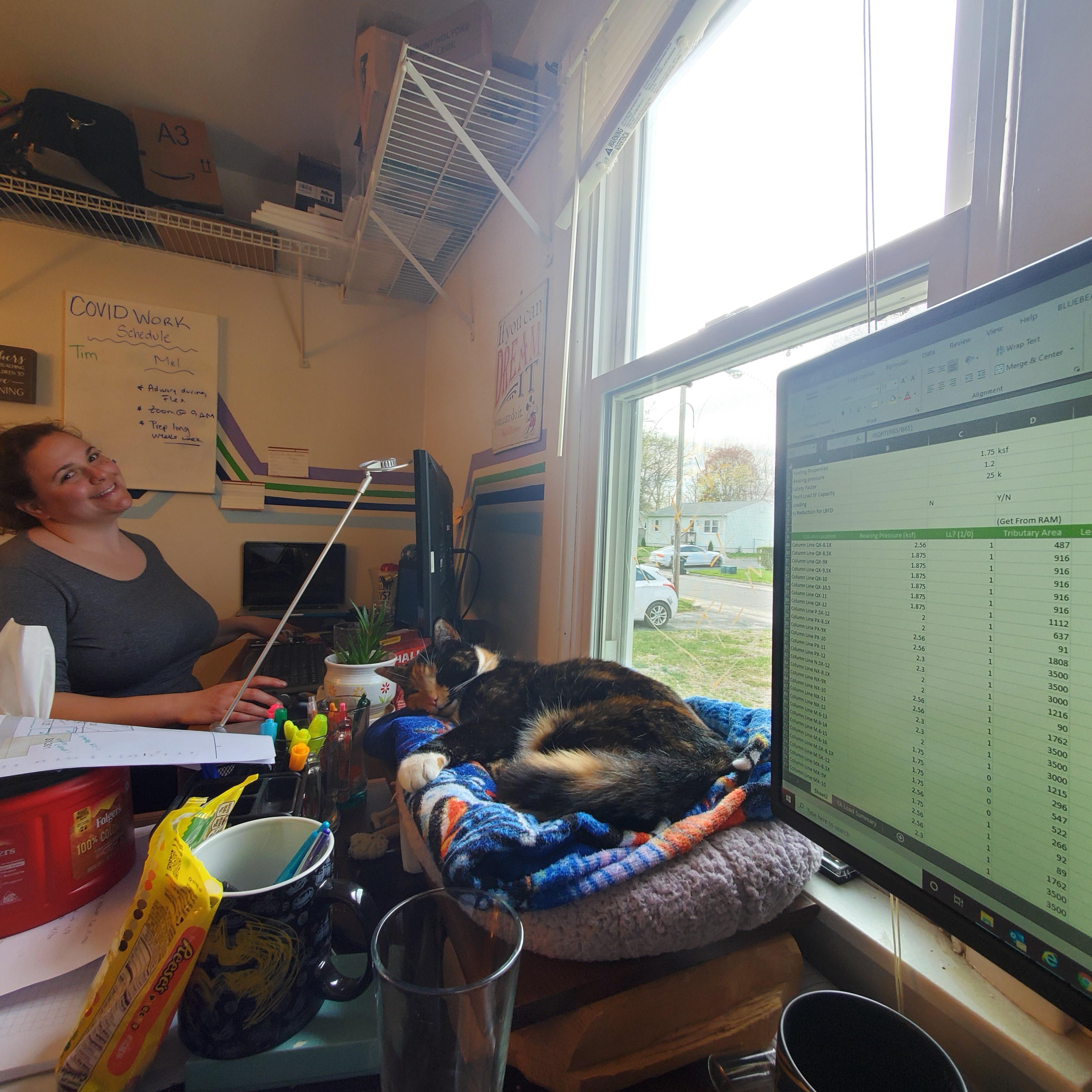 Tim's two favorite work buddies during Covid.