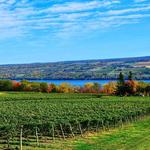 Seneca Lake Wine Trail