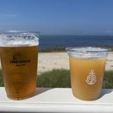 Tree House Brewing Cape Cod