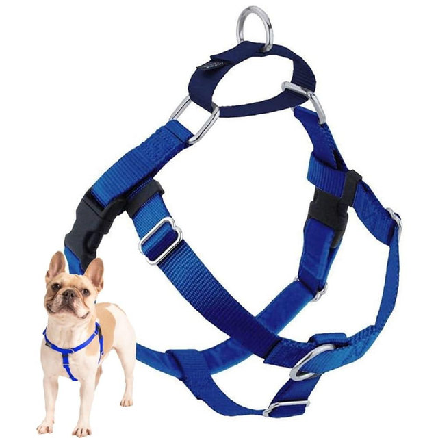 Freedom No Pull Dog Harness, Harness ONLY (Blue, Medium (1" wide)