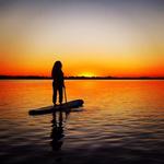 DragonFly Paddle and Fitness