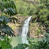 Waimea Falls