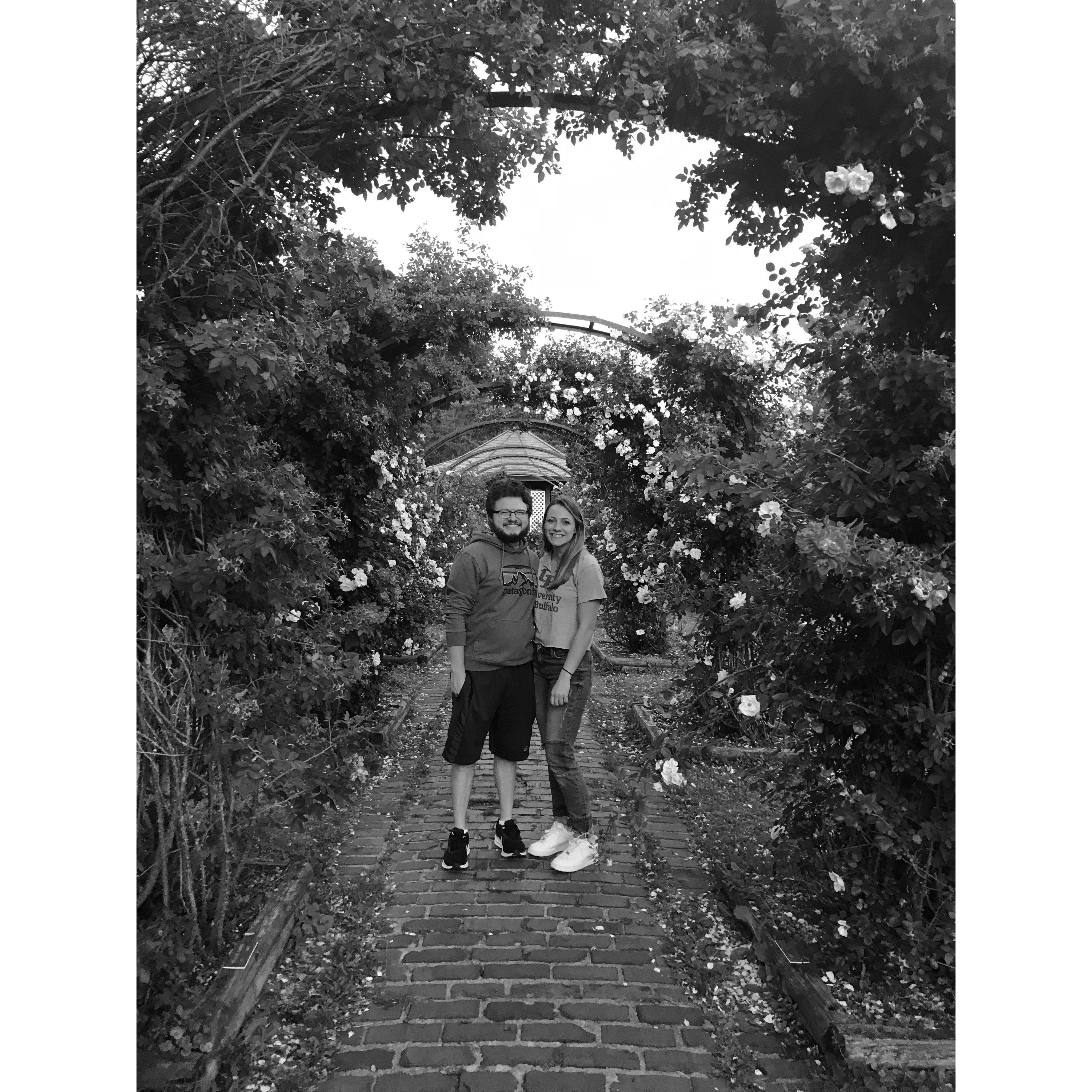 The prettiest rose garden within walking distance from our first apartment together.