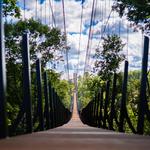 Sky Bridge Michigan